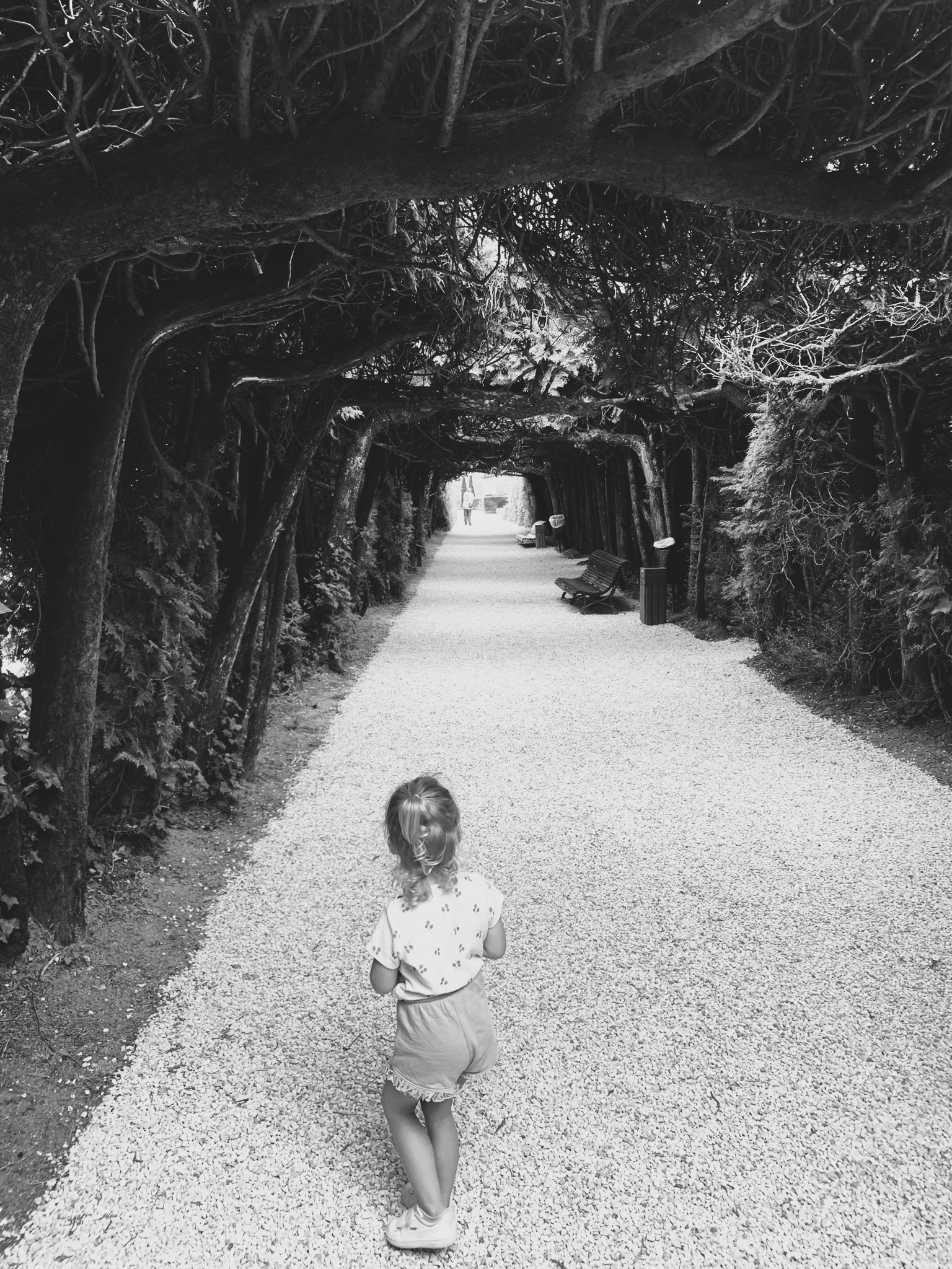 foto website kasteel